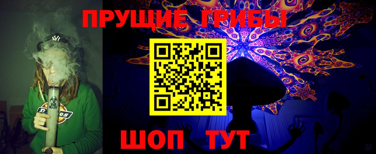 Пугачёв  Галлюциногенные грибы GOLDEN TEACHER  Вход с VPN  Галлюциногенные грибы GOLDEN TEACHER 